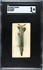 1910 Sweet Caporal T58 Pickerel Fish Series SGC 1 Front.jpg