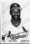 1987 Cardinals Press Photo.jpg