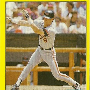 1991 Fleer