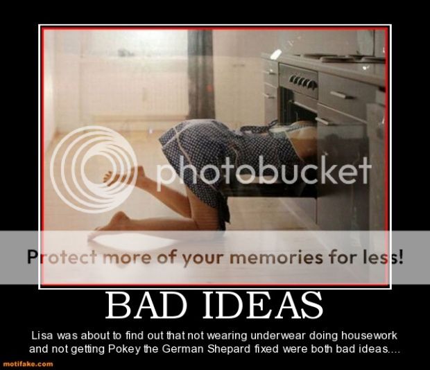 bad-ideas-bad-idea-dog-hump-demotivational-posters-1307130271_zps3ed2245a.jpg