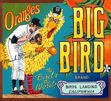 -077-mark-fidrych-big-bird-detroit-tigers-baseball.jpg