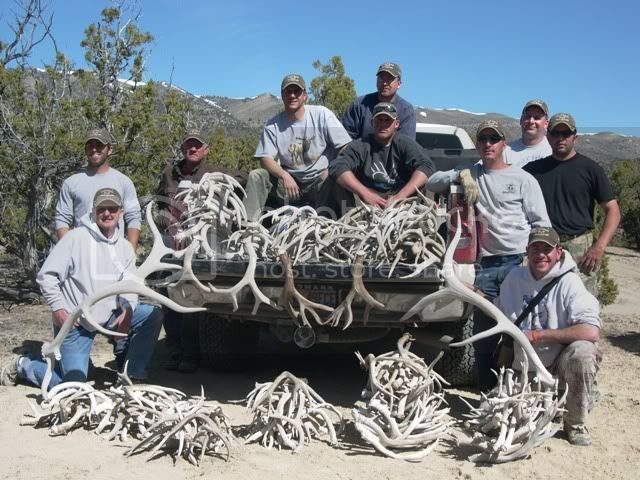 08AntlerCamp3.jpg