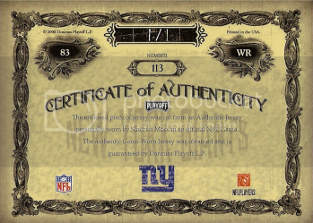 106playoffntbrandlogoback.png