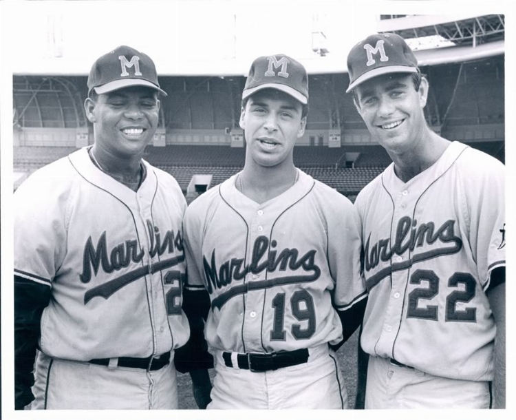 1968%2BJim%2BPalmer%2BMiami%2BMarlins.jpg