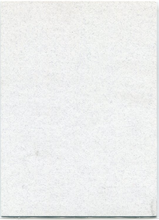 1996 Fleer Blank Back Back.jpg