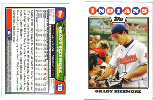 2008ToppsTB3.jpg