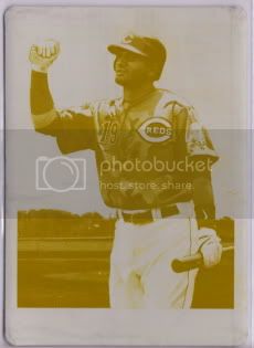 2009GoodwinChampionsJoeyVottoYellow.jpg