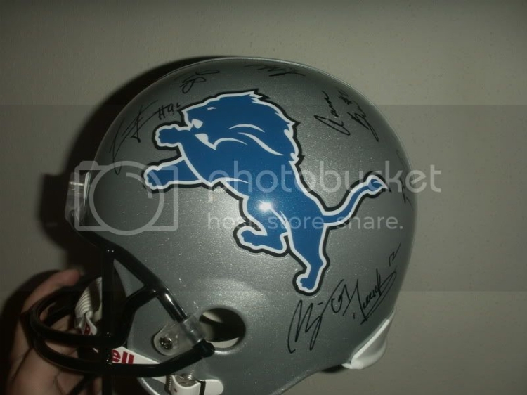 2010detroitlionsfullsizea.jpg