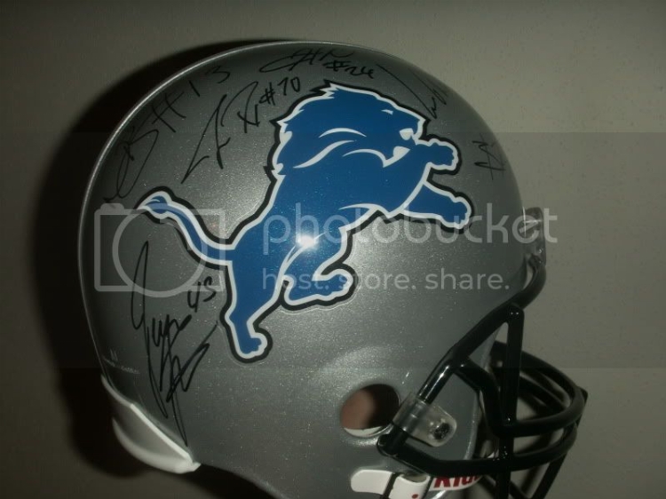 2010detroitlionsfullsizeb.jpg