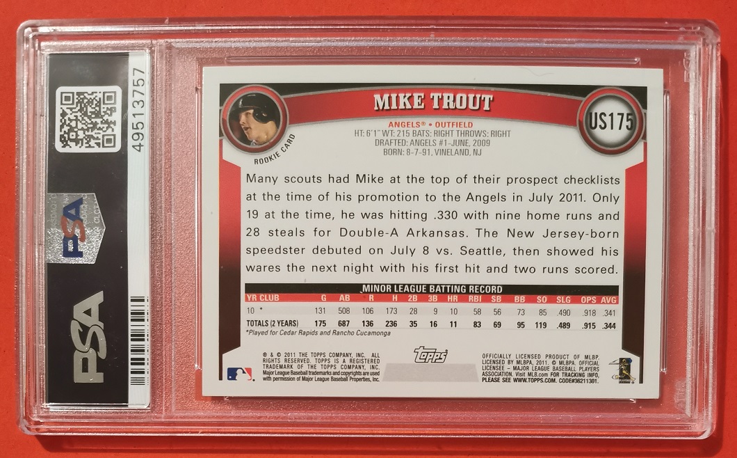 2011 Trout back.jpg