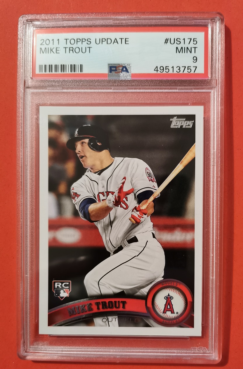 2011 Trout front.jpg