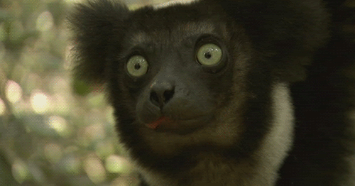 2e5jvoh.gif