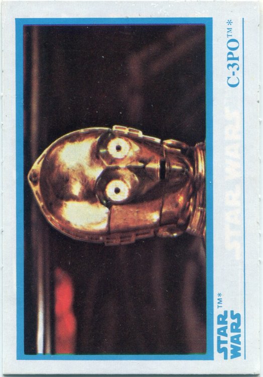 4 C-3PO.jpg