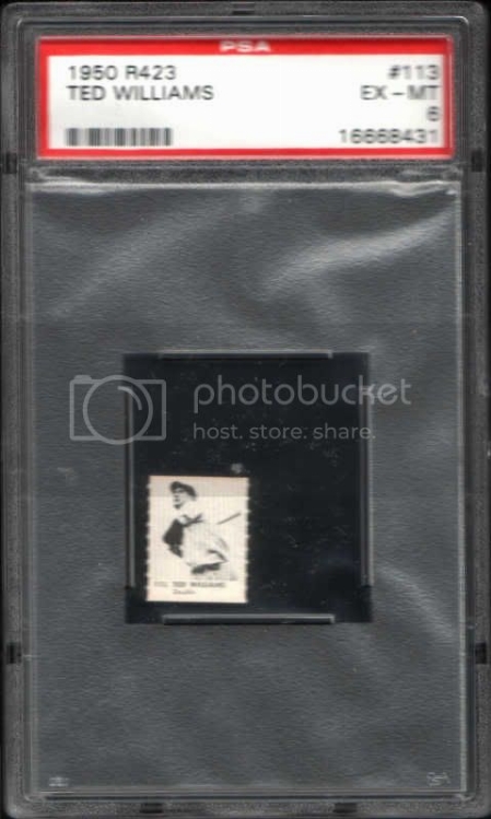 50R423WilliamsPSA.jpg
