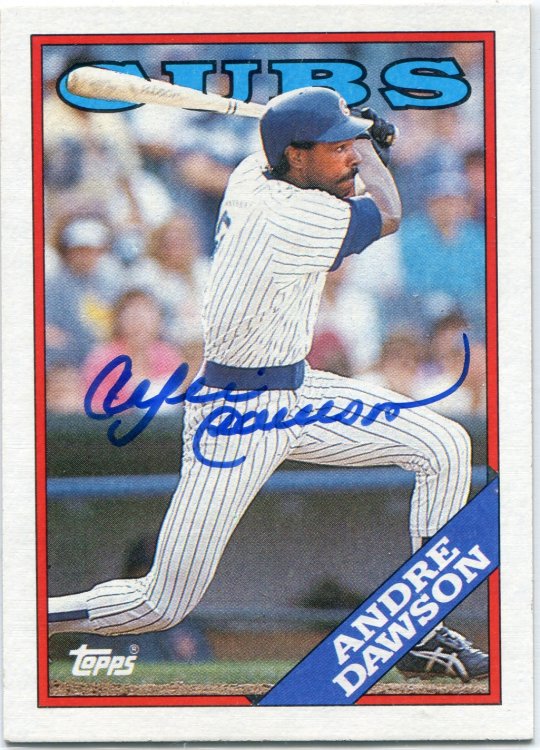 Andre Dawson.jpg