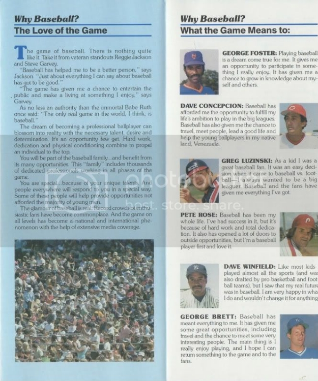 Baseballbrochure.jpg