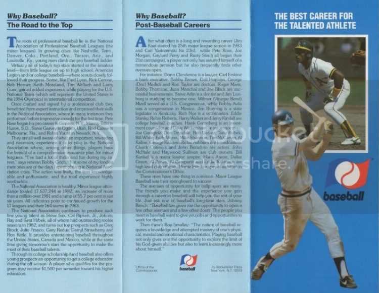 Baseballbrochure2.jpg