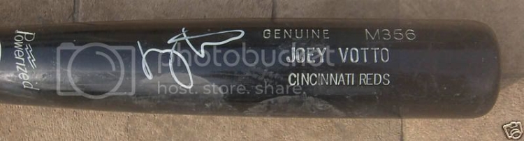 Bat3.jpg