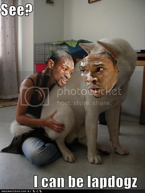 boshlapdog2.jpg