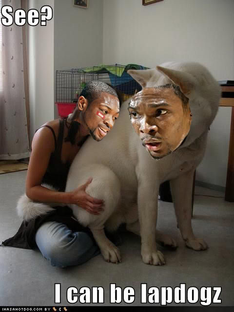 boshlapdog2.jpg