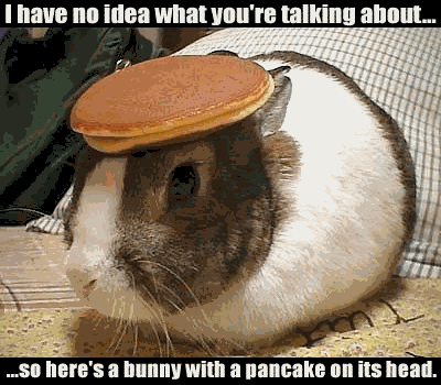 bunny-pancake_0.gif