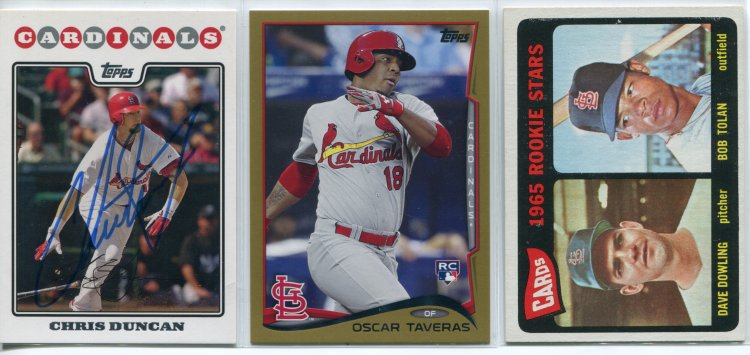 Cardinals Lot.jpg