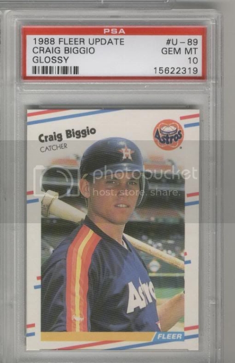 cbiggio88fuglsypsa10.jpg