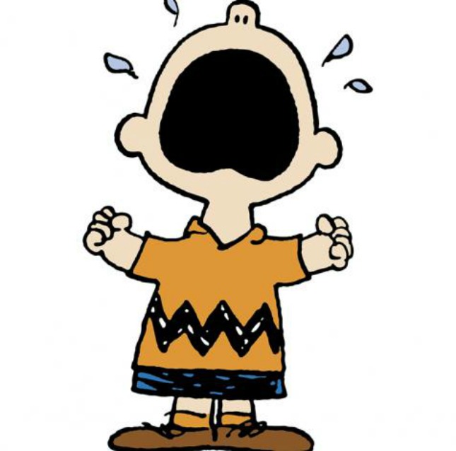 charliebrown-chevron.jpg