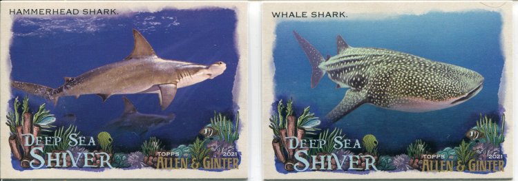 Deep Sea Shiver Lot.jpg