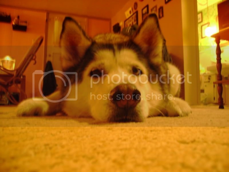 DSC00074.jpg