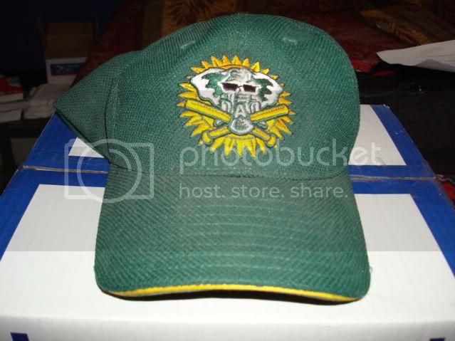 DSC01174.jpg