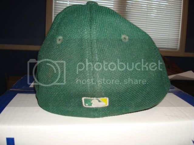 DSC01177.jpg