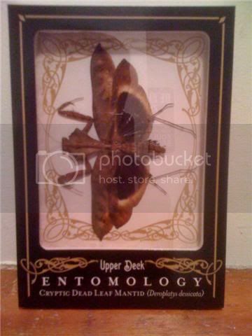 entocard.jpg