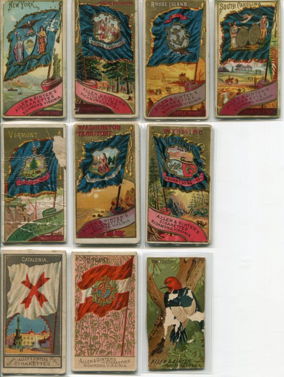 Flags Lot 2.jpg