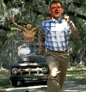 forrest.jpg