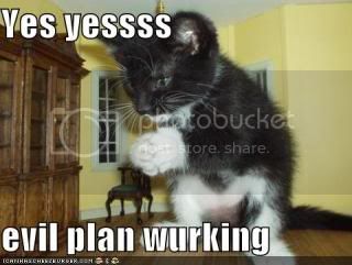funny-pictures-your-cats-evil-plan-.jpg