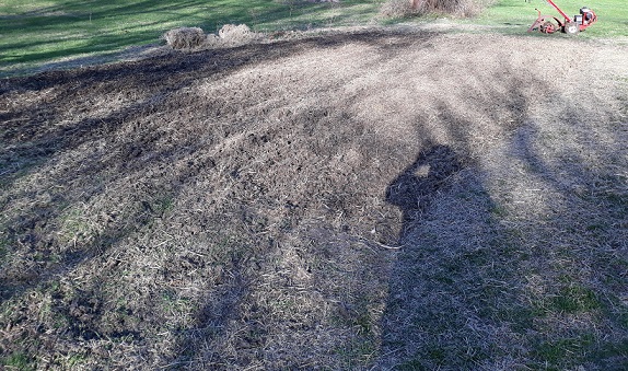 Garden 3-21.jpg