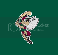 Gnats_cap.png
