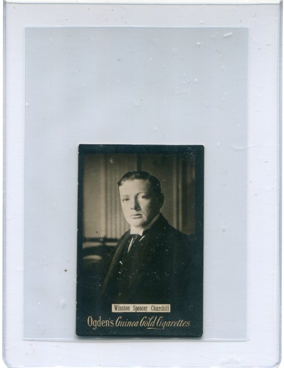Guinea Gold Churchill.jpg