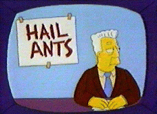 hailants.gif
