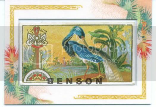 heron-front.jpg