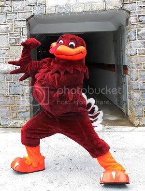 HokieBird1.jpg