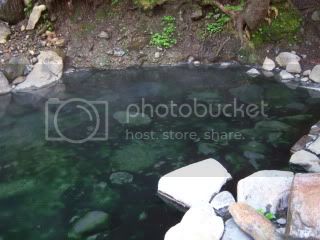 hotspring1.jpg