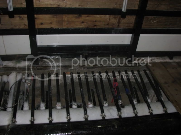 iceout004.jpg
