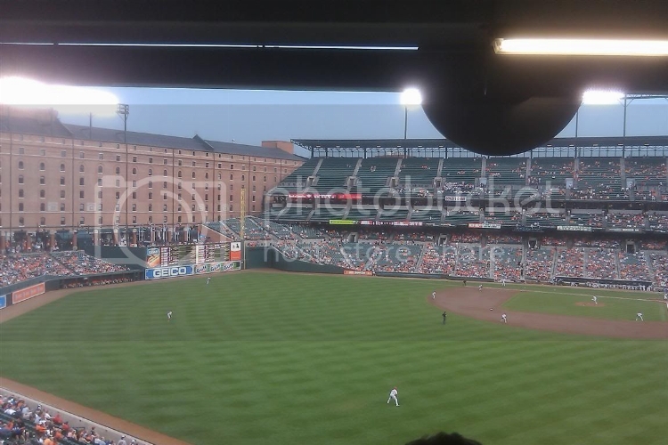 IMAG0113Medium-1.jpg