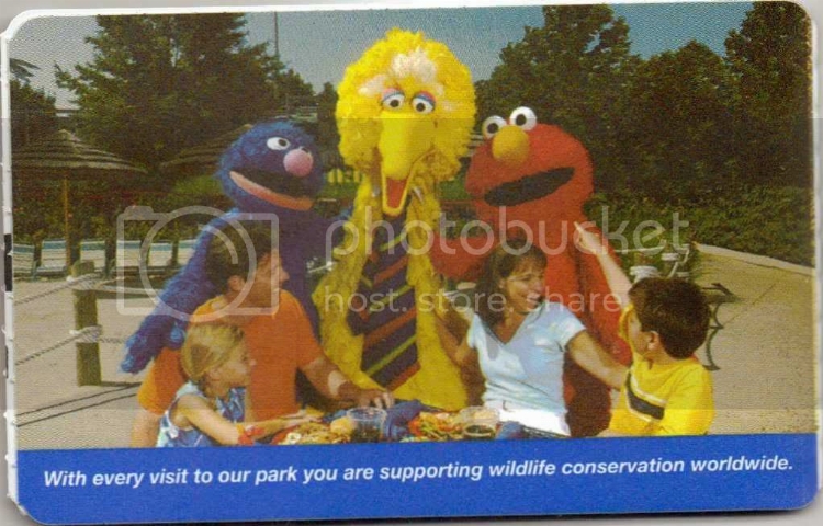 Image61.jpg