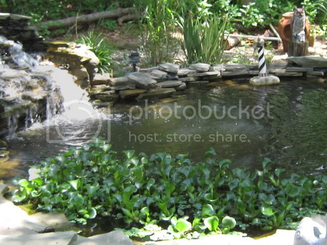 IMG_0220.jpg