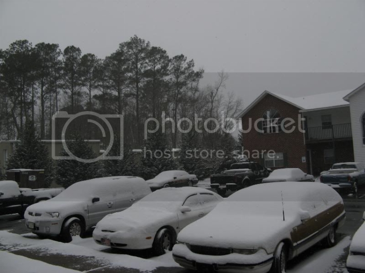 jan09snow002.jpg