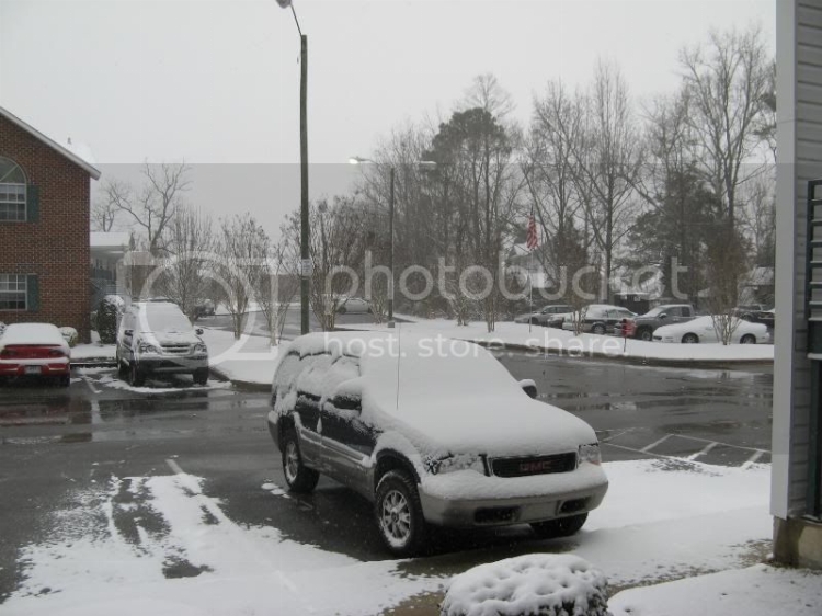 jan09snow003.jpg