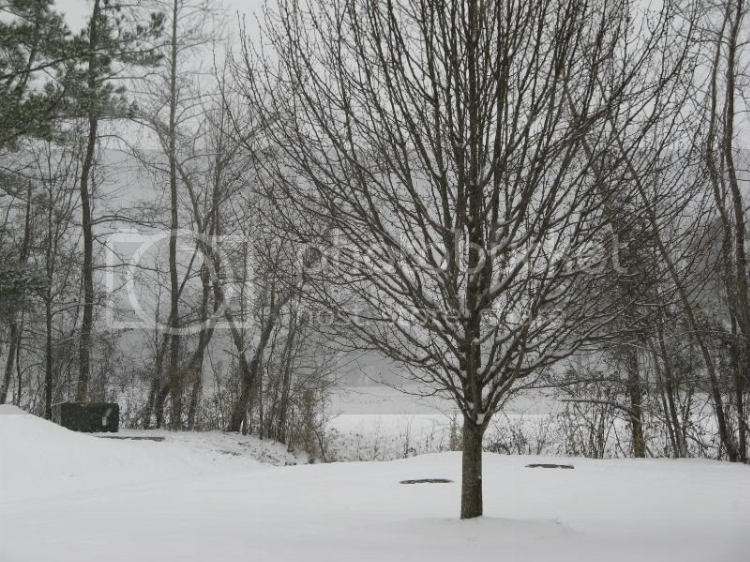 jan09snow004.jpg